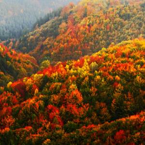 Pierwszy dzień jesieni tuż tuż! Kiedy nastąpi równonoc? [KALENDARZ]