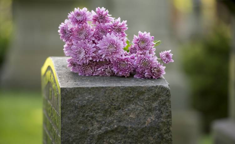 Kwiaty związane z żałobą. Warto wyrazić nimi szacunek do zmarłego