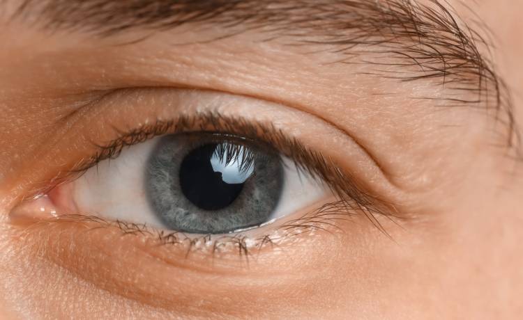 Pixel-Shot/Shutterstock