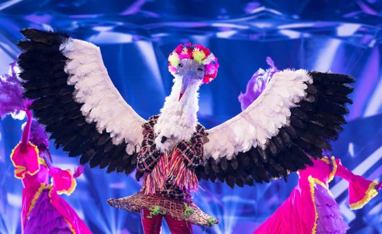 "Mask Singer". Widzowie znają już tożsamość Bociana? "To ona na 100%"