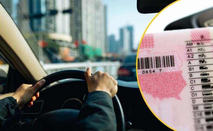 Unia Europejska zmienia zasady. Miliony Polaków muszą wymienić prawo jazdy, fot. Shutterstock