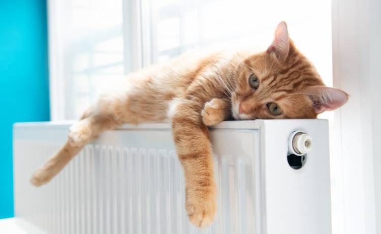 Sprawdź, kiedy naprawdę ruszy sezon grzewczy 2025/2026, fot. Shutterstock