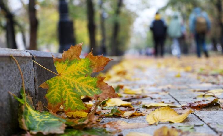 Wyż nad Polską. Przed nami wyraźna zmiana pogody, fot. Shutterstock