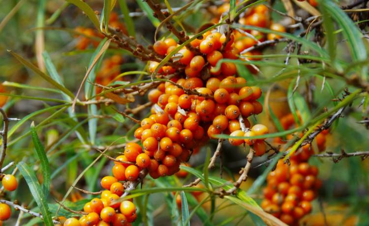 Marek BAZAK/East News