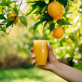 Badania rzucają nowe światło na sok pomarańczowy. Naukowcy w szoku 
