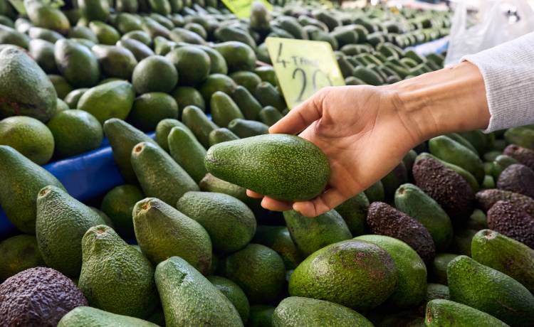 Fot. Shutterstock/Petrovich Nataliya