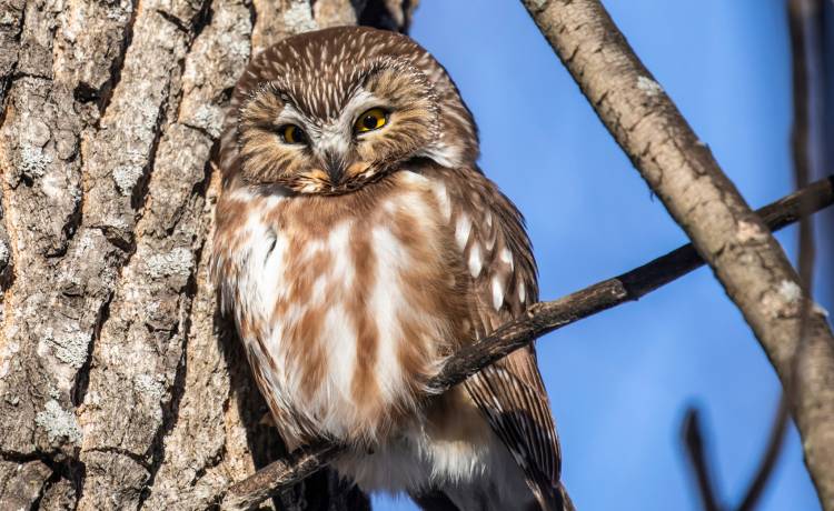 fot. shutterstock.com 