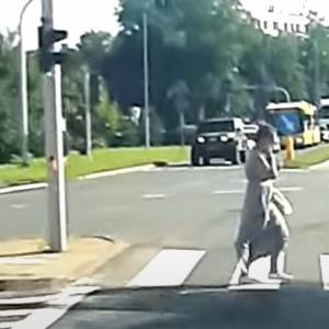 Weszła przed ambulans jadący na sygnale. Wszystko się nagrało [WIDEO]