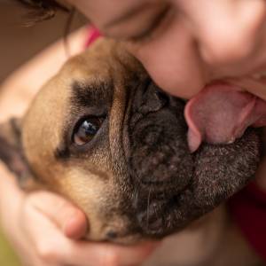 Tajemnice psiego języka. Co naprawdę oznacza, gdy pies liże cię po twarzy?