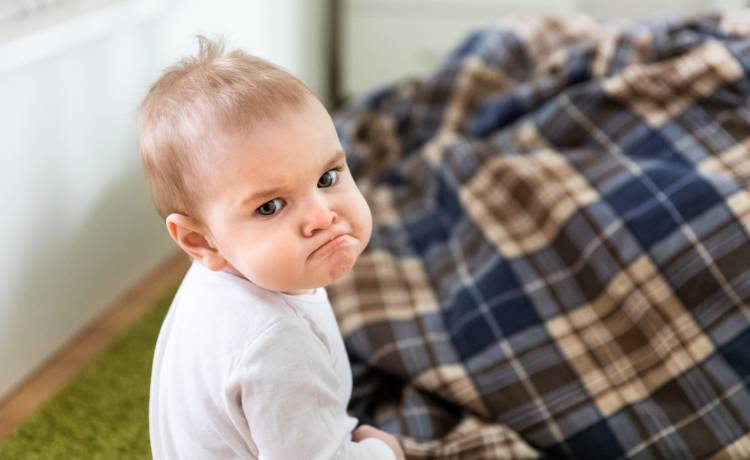 fot. shutterstock.com