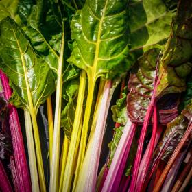 To skarb kuchni śródziemnomorskiej. Posadź i ciesz się smakiem