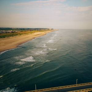 Plaża zasypana przez "ryby penisy". Nazwa wzięła się od nietypowego kształtu [FOTO]