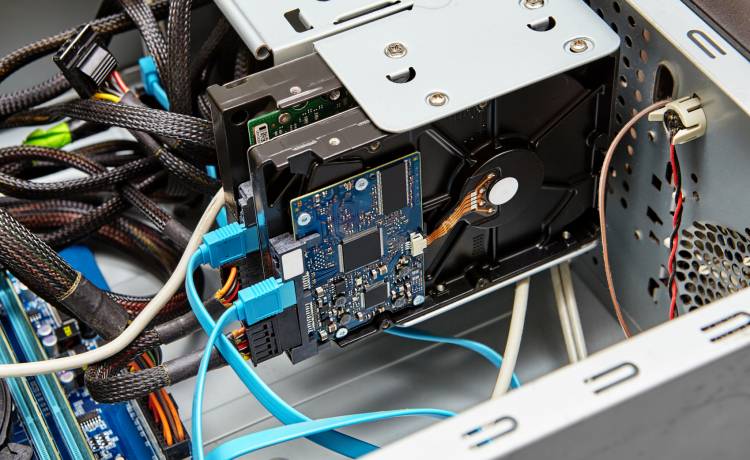 zdjęcie ilustracyjne, fot. Shutterstock/Grigvovan