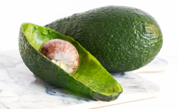 fot. shutterstock.com