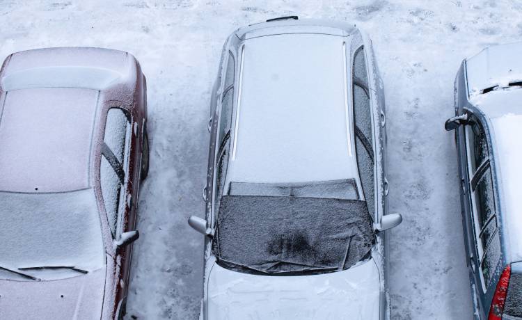 Fot. Shutterstock/Szymon Mucha