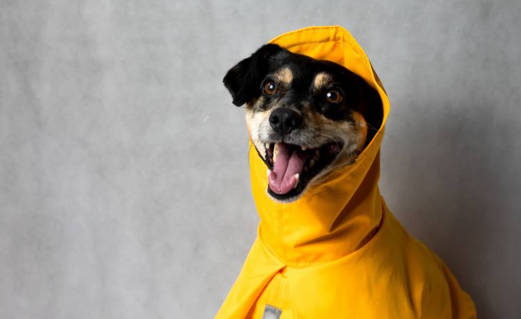 fot. shutterstock.com 