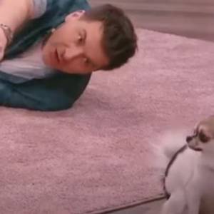 Wpadka w "PnŚ". Pies zostawił odchody na dywanie podczas programu na żywo!