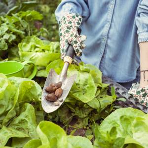 Tak pozbędziesz się ślimaków. Tani, skuteczny i ekologiczny sposób!