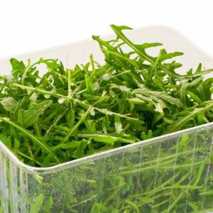 GIS ostrzega! Salmonella w rukoli. Produkty wycofane z popularnych sklepów