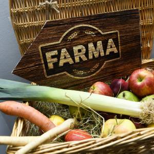 Uczestnik „Farmy” po programie uczestnik zmienił się nie do poznania! Jak wygląda dziś?