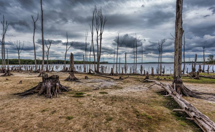 "Cywilizacji zostało 31 lat!" - tak twierdzą naukowcy