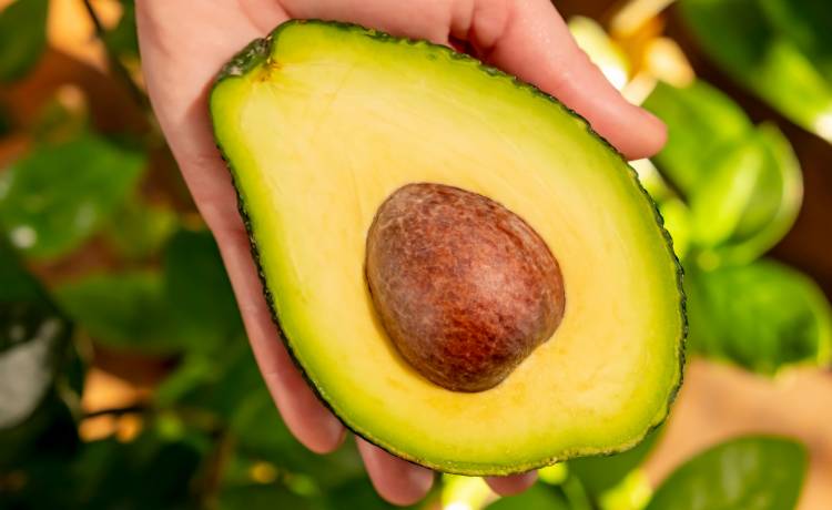 fot. shutterstock.com