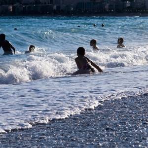 W kołowrotku dla chomika próbował przepłynąć ocean. Dostał zakaz wchodzenia do wody [FOTO]