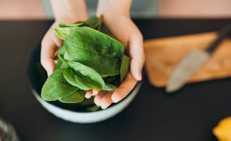 6 zimowych warzyw, które są kopalnią białka. Zdjęcie ilustracyjne/Shutterstock