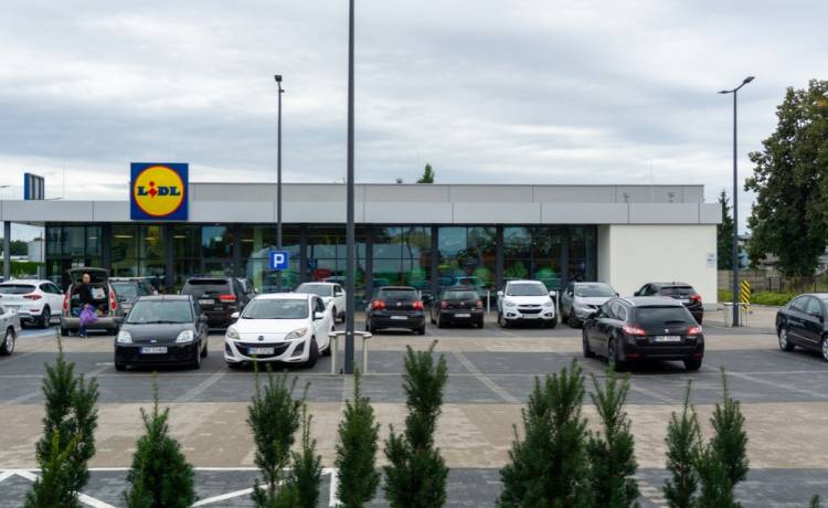 fot. Shutterstock/Andrii_Hrabchuk