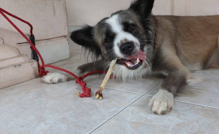 fot. shutterstock.com 