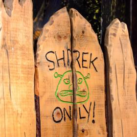 Shrekujesz, a może już zostałeś zeshrekowany? Eksperci krytykują trend w randkowaniu