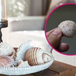 Czy muszelki przynoszą nieszczęście? W tych przypadkach tak