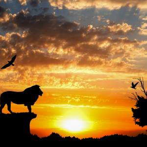 Ścieżka dźwiękowa do filmu "Król Lew" już w sieci!                                                                