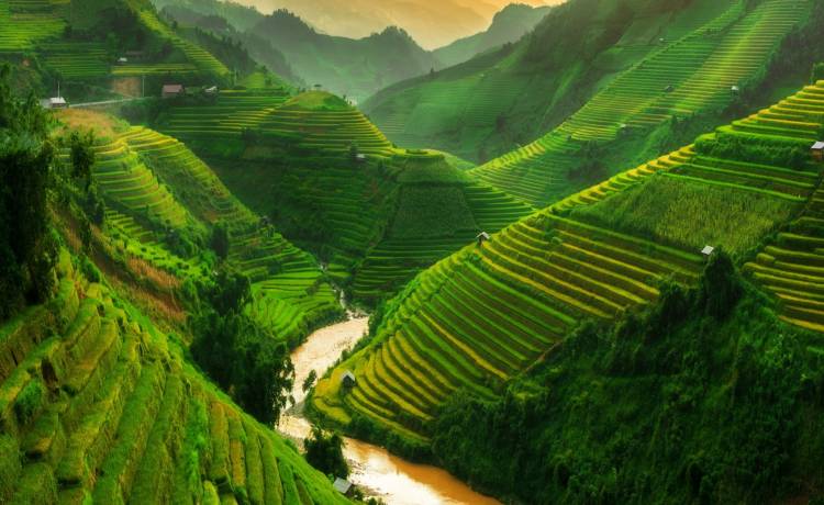 5 lat więzienia za złamanie kwarantanny? To możliwe! Wietnamczyk zainfekował co najmniej 8 osób