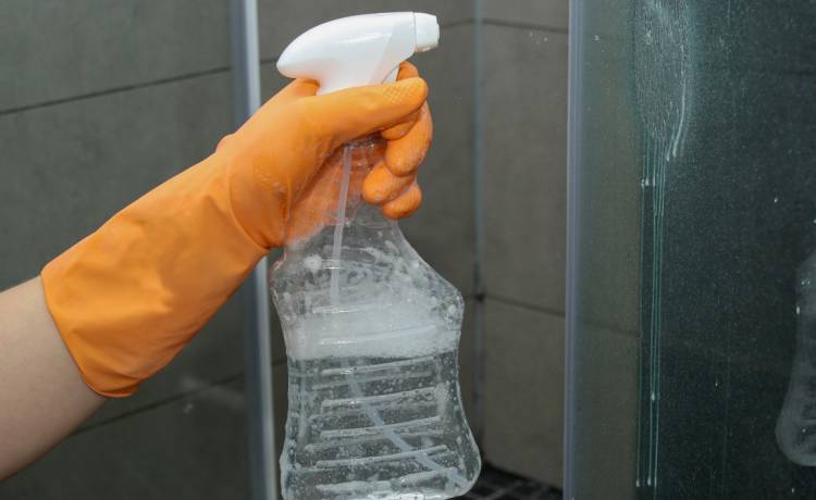 zdjęcie ilustracyjne, fot. Shutterstock/Tatjana Meininger