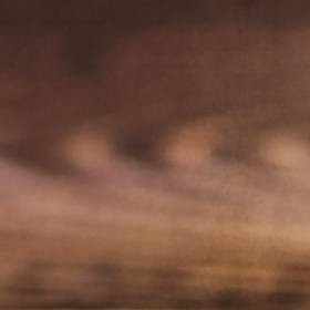 To mięso jest niedoceniane. Bogactwo białka i mała zawartość tłuszczu