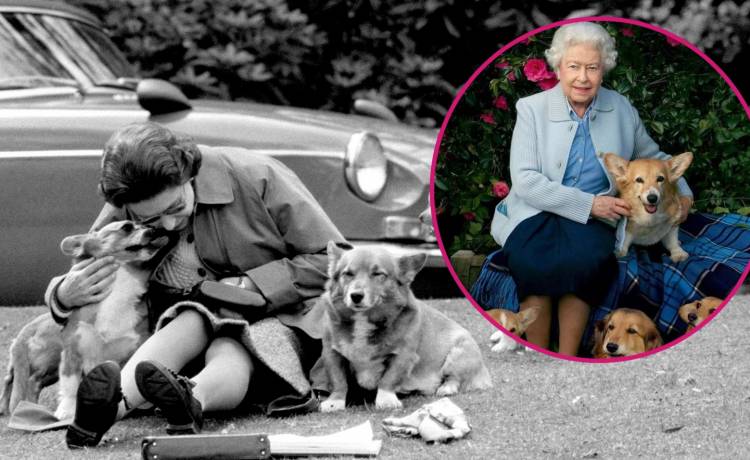 fot. PAP/PA; Vanity Fair