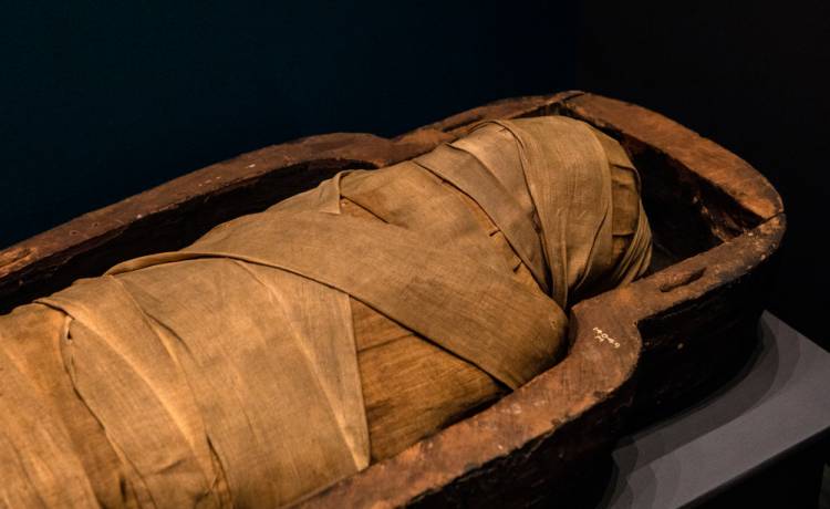 Zdjęcie ilustracyjne, fot. Shutterstock/chrisdorney