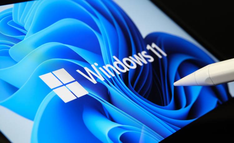 zdjęcie ilustracyjne, fot. Shutterstock/mundissima