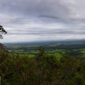 Cudem przeżyła samotną podróż. Uratowała ją butelka wina i lizaki [WIDEO]