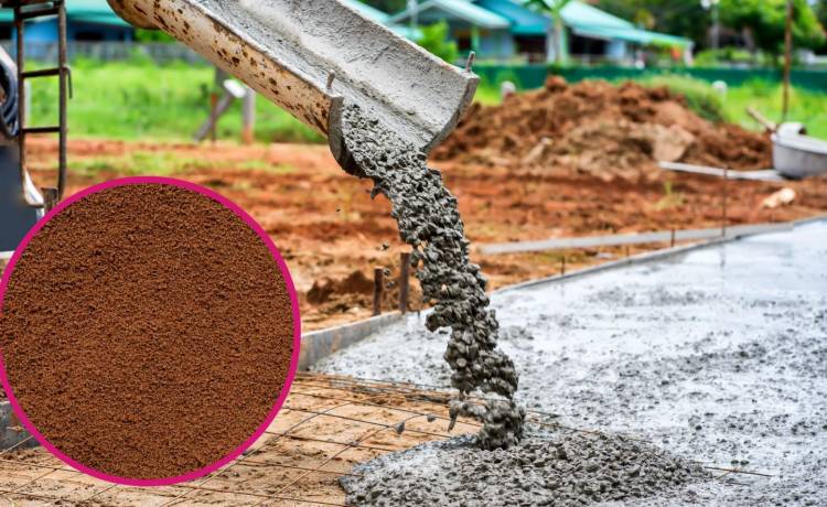 fot. shutterstock.com