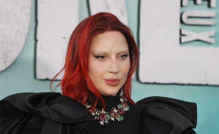 Joe Seer/Shutterstock