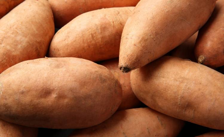 fot. shutterstock.com