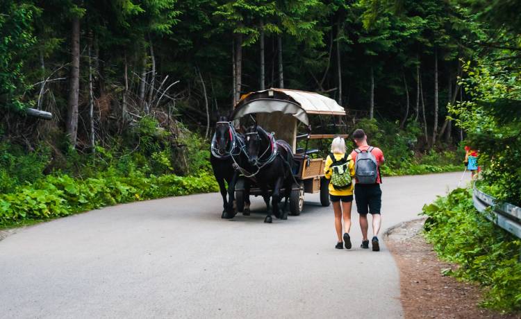 Fot. Shutterstock/Maciej Dubel