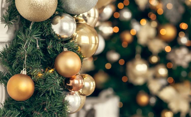 Żywa czy sztuczna choinka? Podpowiadamy, jak wybrać świąteczne drzewko