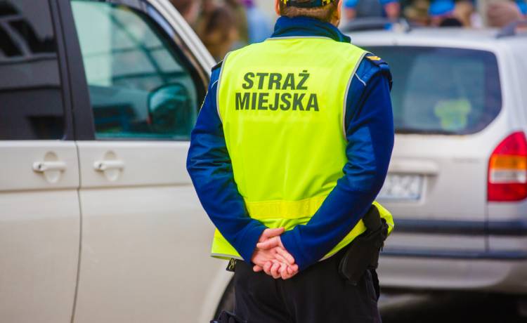 Pies wypadł z drugiego piętra. KTOZ: "Trwają ustalenia, co wydarzyło się na miejscu wypadku"