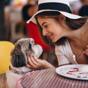 Czy można wejść z psem do sklepu lub restauracji? Sanepid zabrał głos