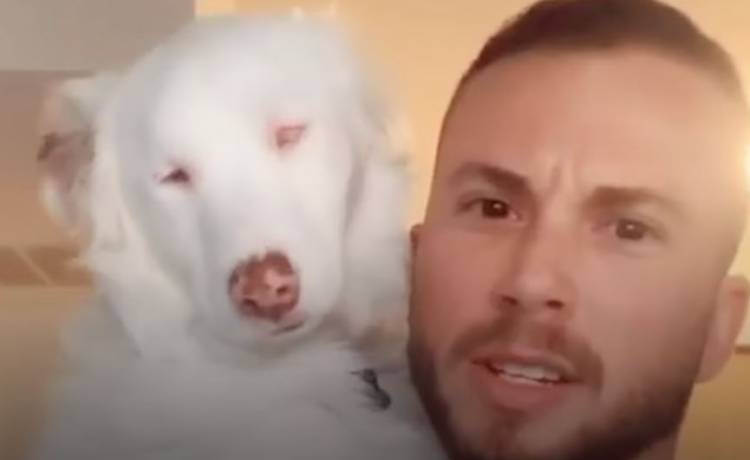 Plum nie widzi i nie słyszy. Mimo wszystko jest szczęśliwym psiakiem, który uwielbia zabawę! [WIDEO]