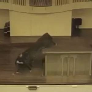 Wypadek na scenie w Poznaniu. Fortepian spadł na podłogę [WIDEO]