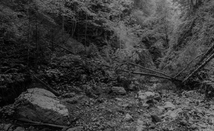 Odpadł od ściany i spadł z ok. 60 metrów. Na miejsce wysłano śmigłowiec ratowniczy